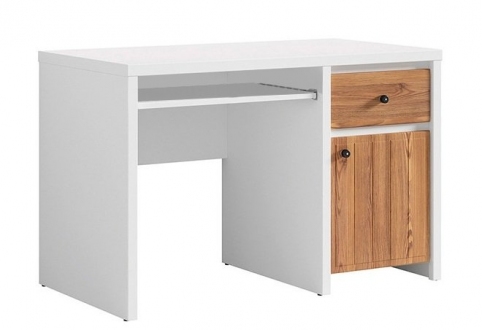 Стол письменный BIU1D1S/120 Кристина